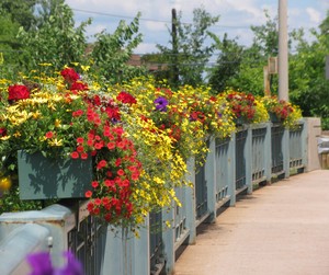 flowersbridge.jpg